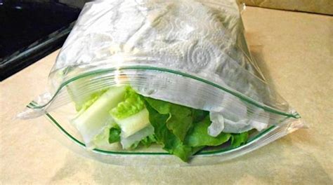 comment conserver une salade au frigo